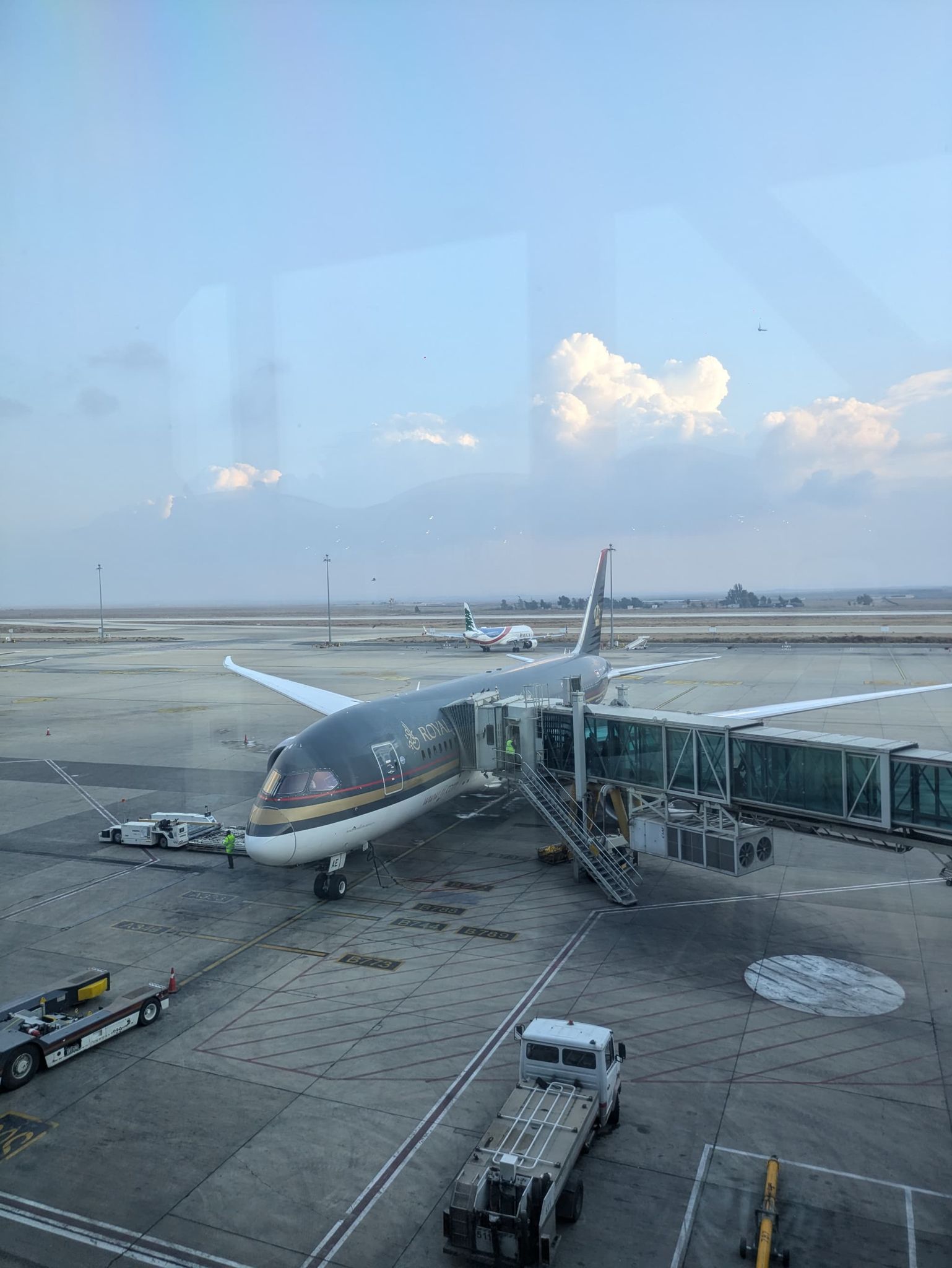 クイーン・アリア国際空港のロイヤル・ヨルダン航空の機体