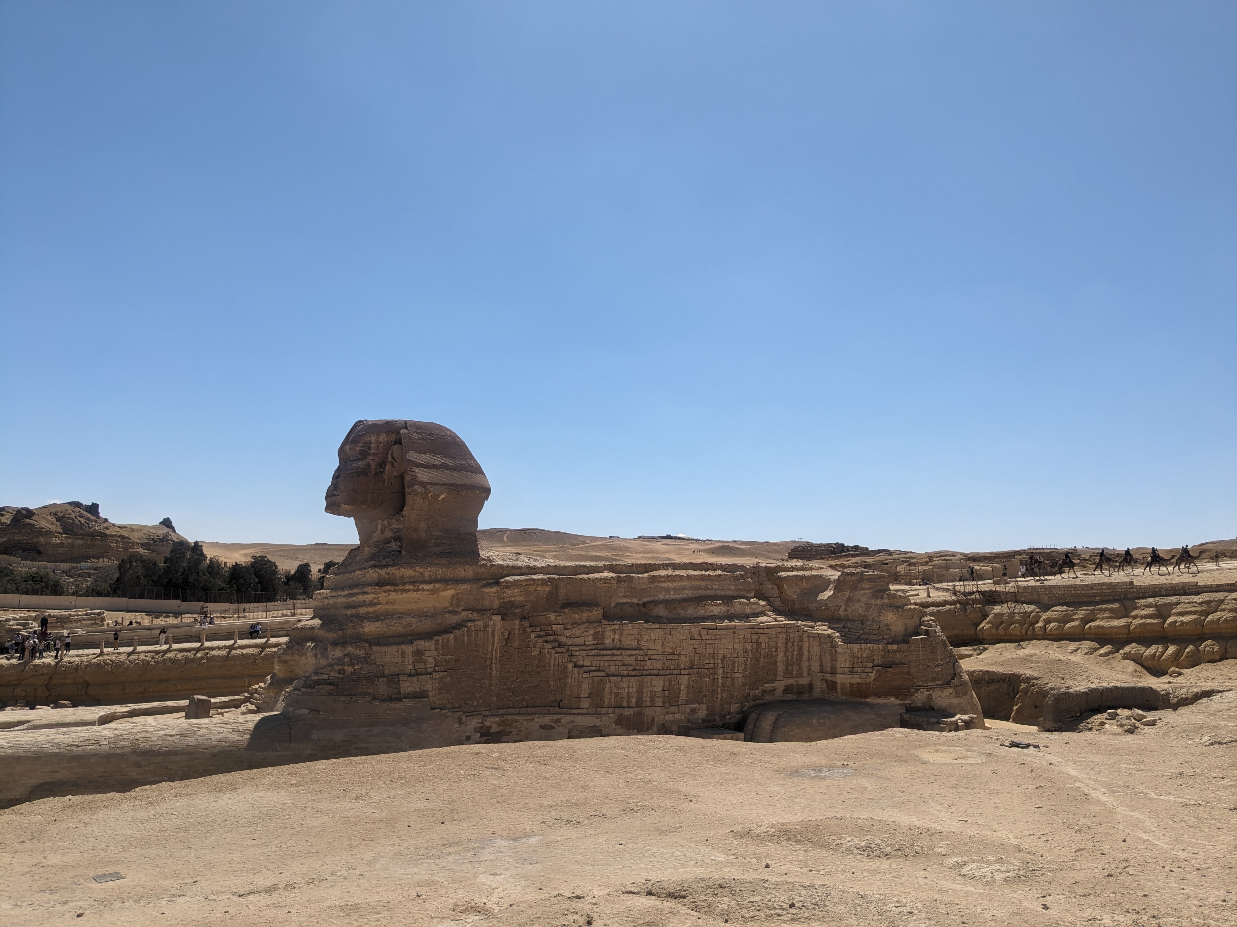 なんだか横から見ると小さく見えてしまいます