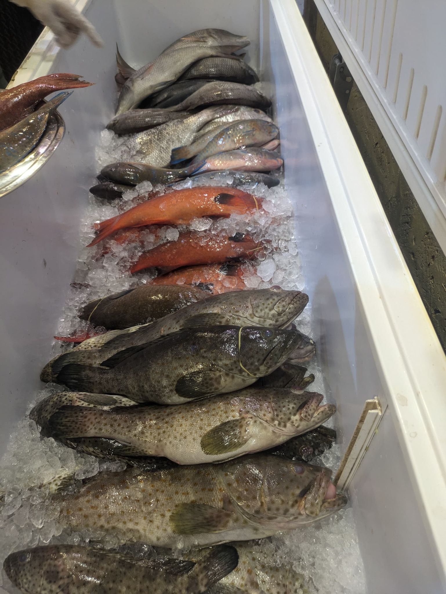 Ba’eshen Seafood の鮮魚コーナー