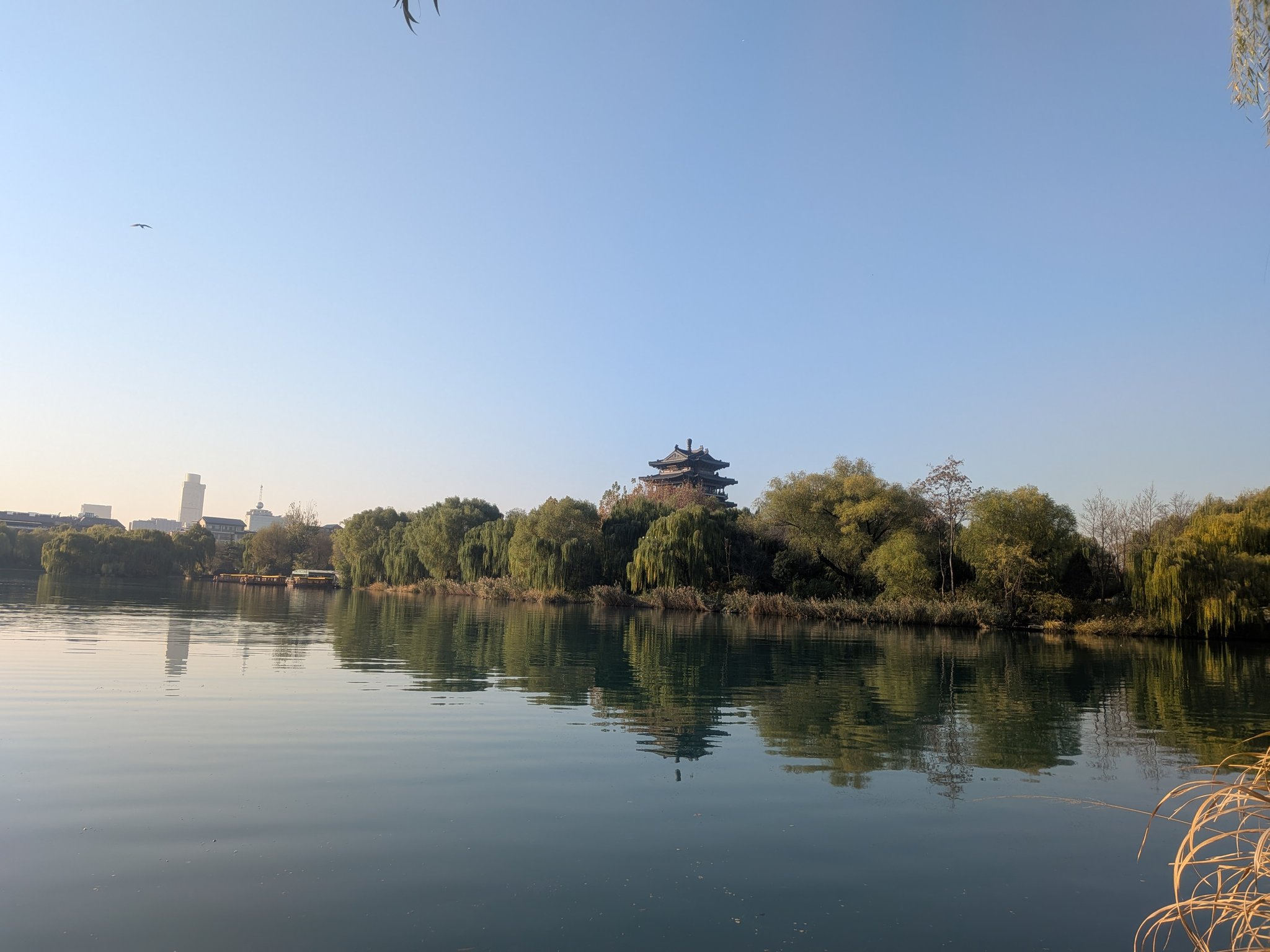 快晴の大明湖