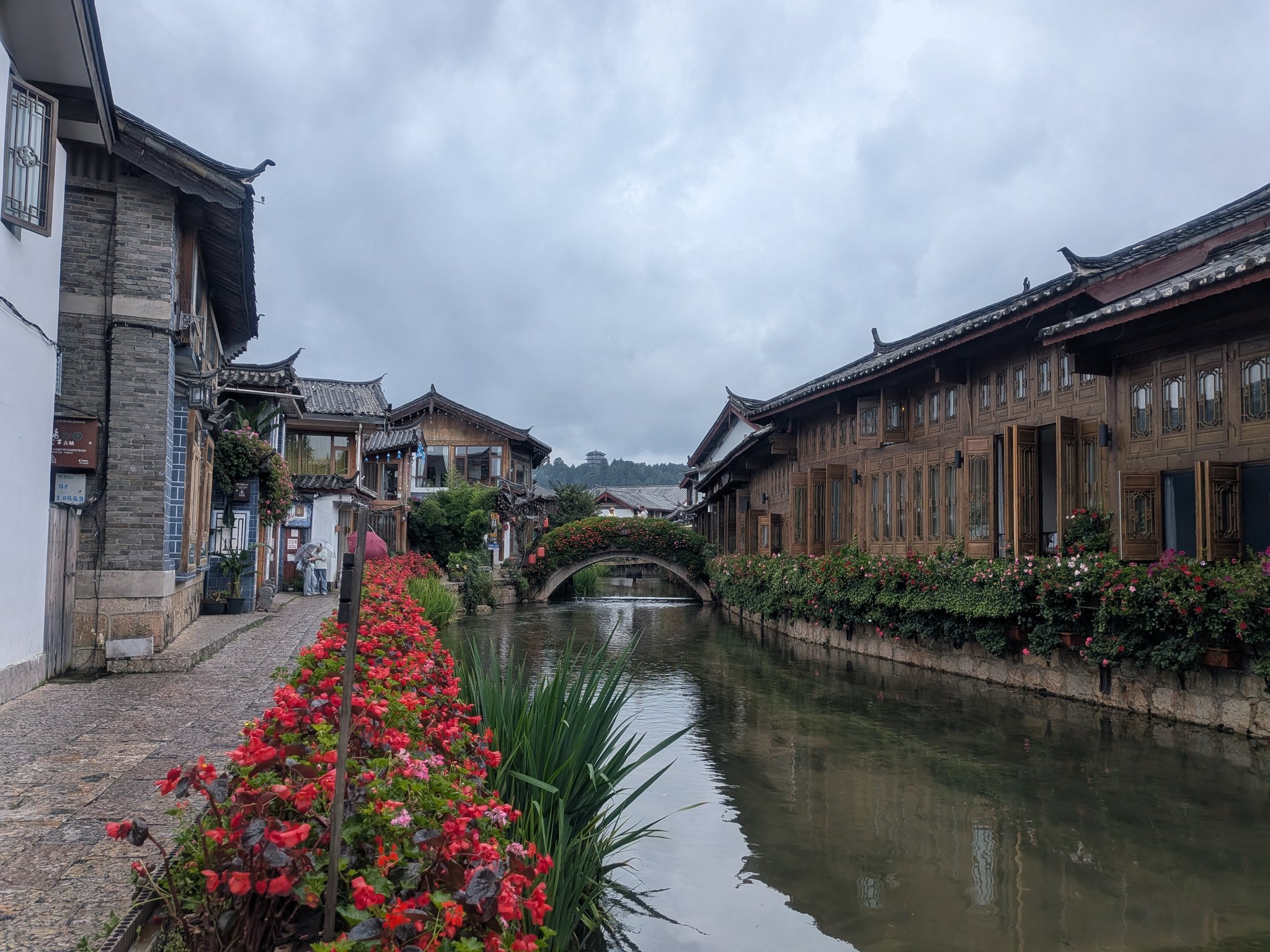 花が咲く麗江古城の小川と石橋