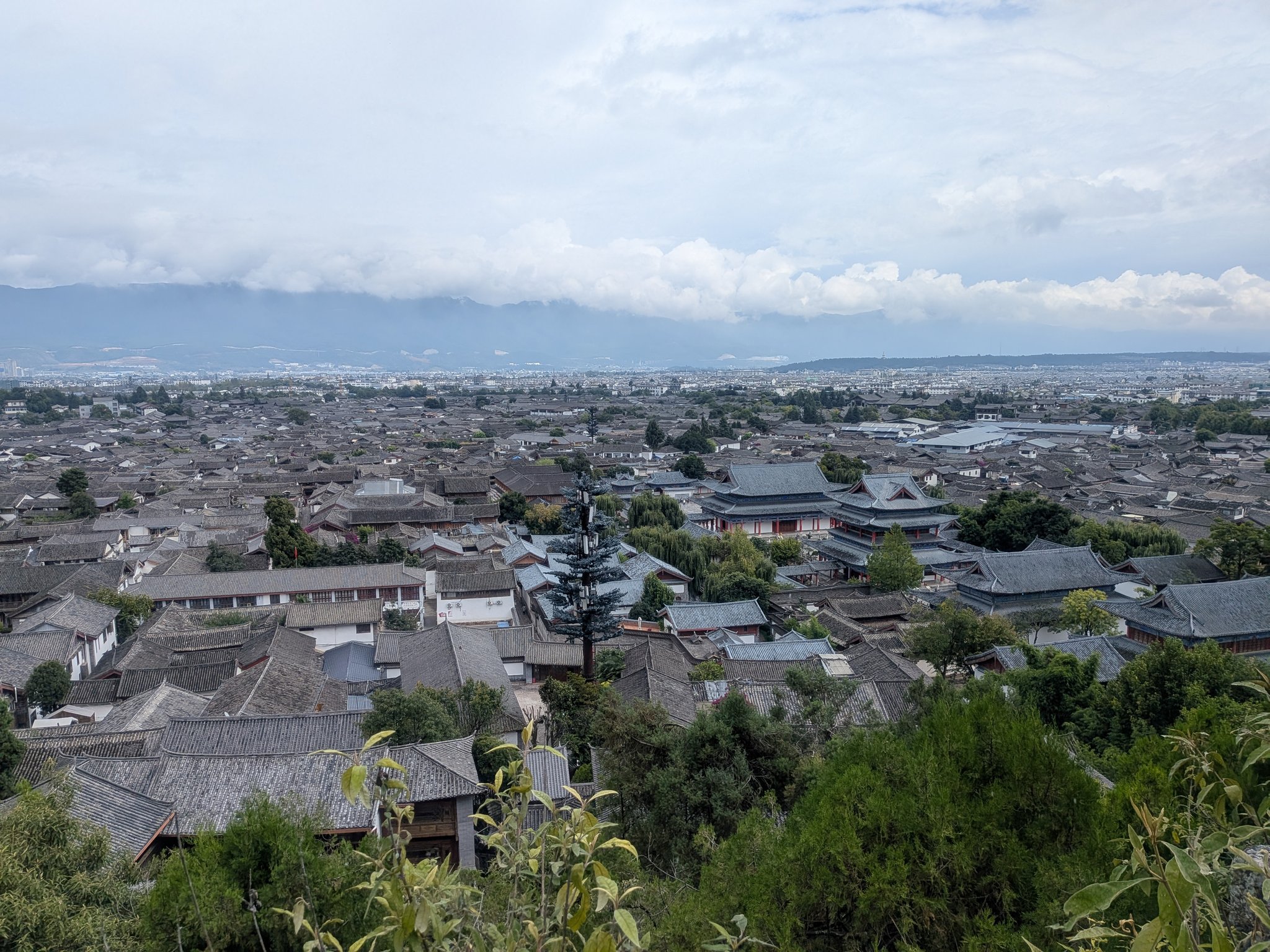 獅子山から見下ろした麗江古城の瓦屋根の街並み