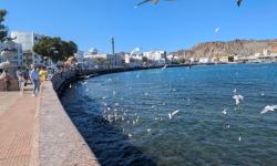 Featured image of post 【マスカット】アラビアンナイトの世界 絶景のマトラ地区