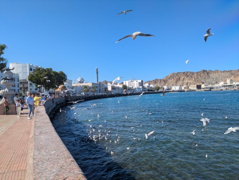 Featured image of post 【マスカット】アラビアンナイトの世界 絶景のマトラ地区