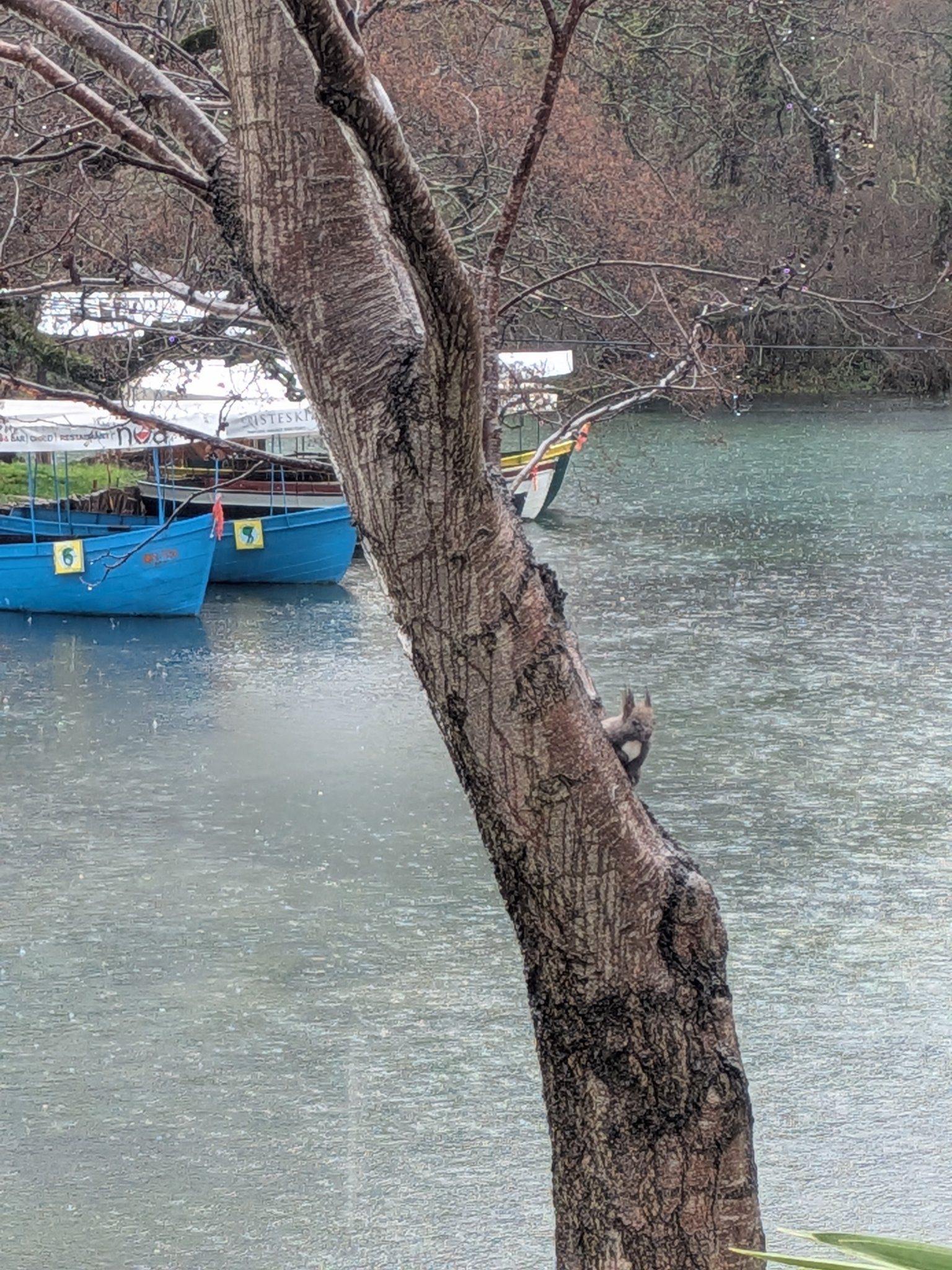 聖ナウム修道院の泉に浮かぶボート