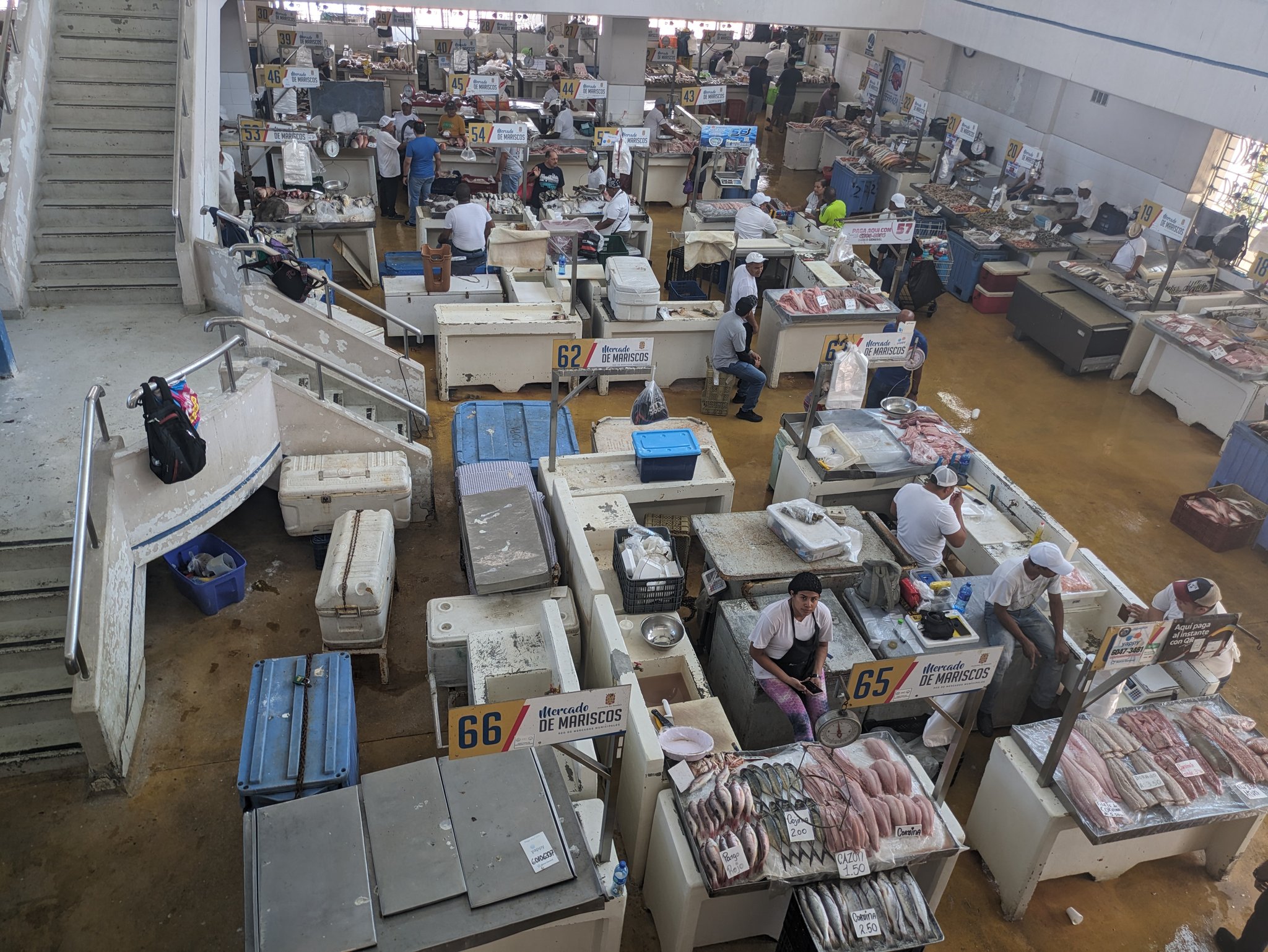 魚が並ぶマリスコス市場の内部