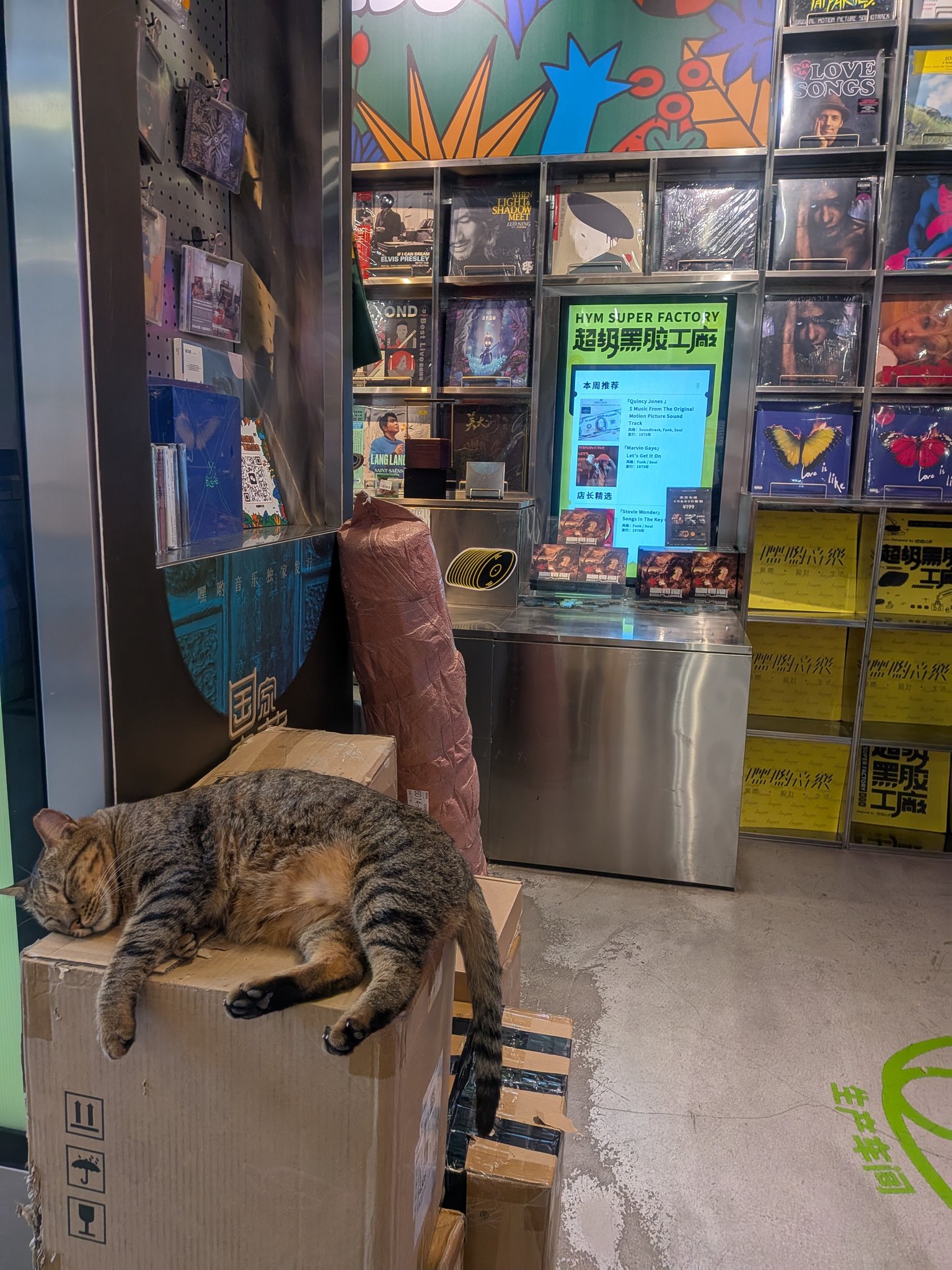 南头古城の猫のいるレコード屋さん
