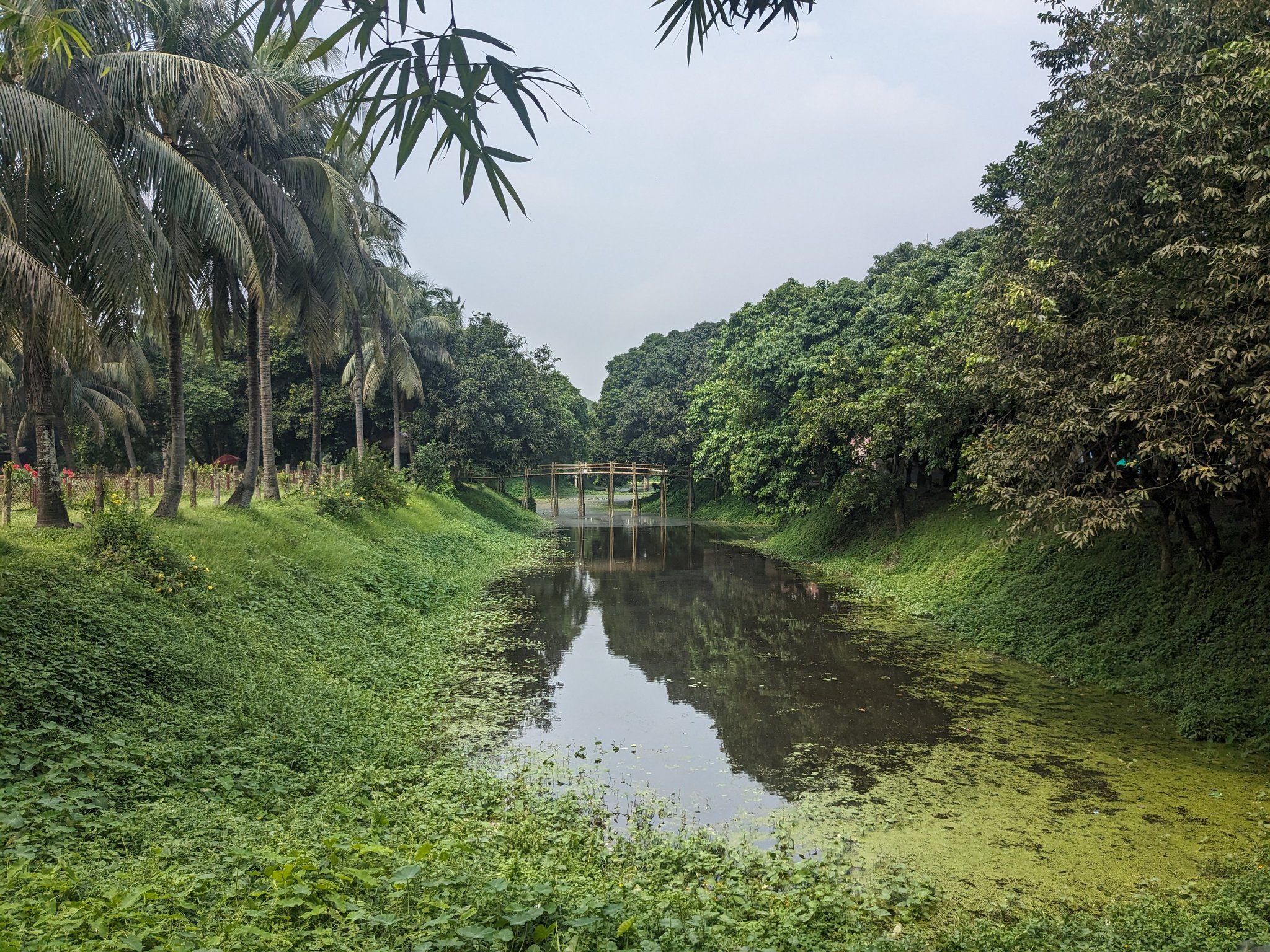 公園の水路