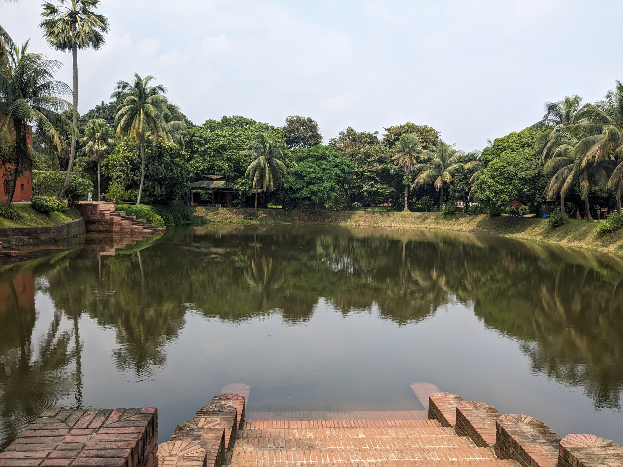 公園の池