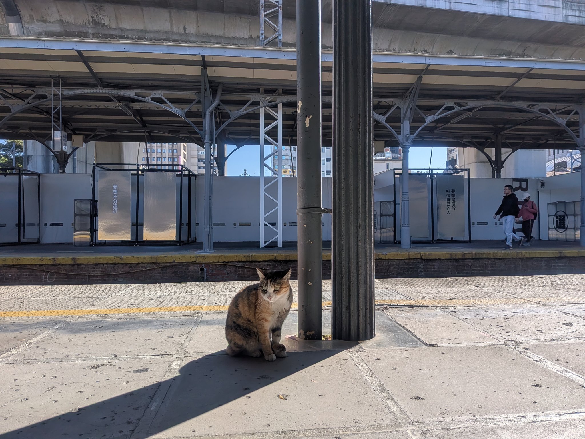 旧台中駅のホームの猫
